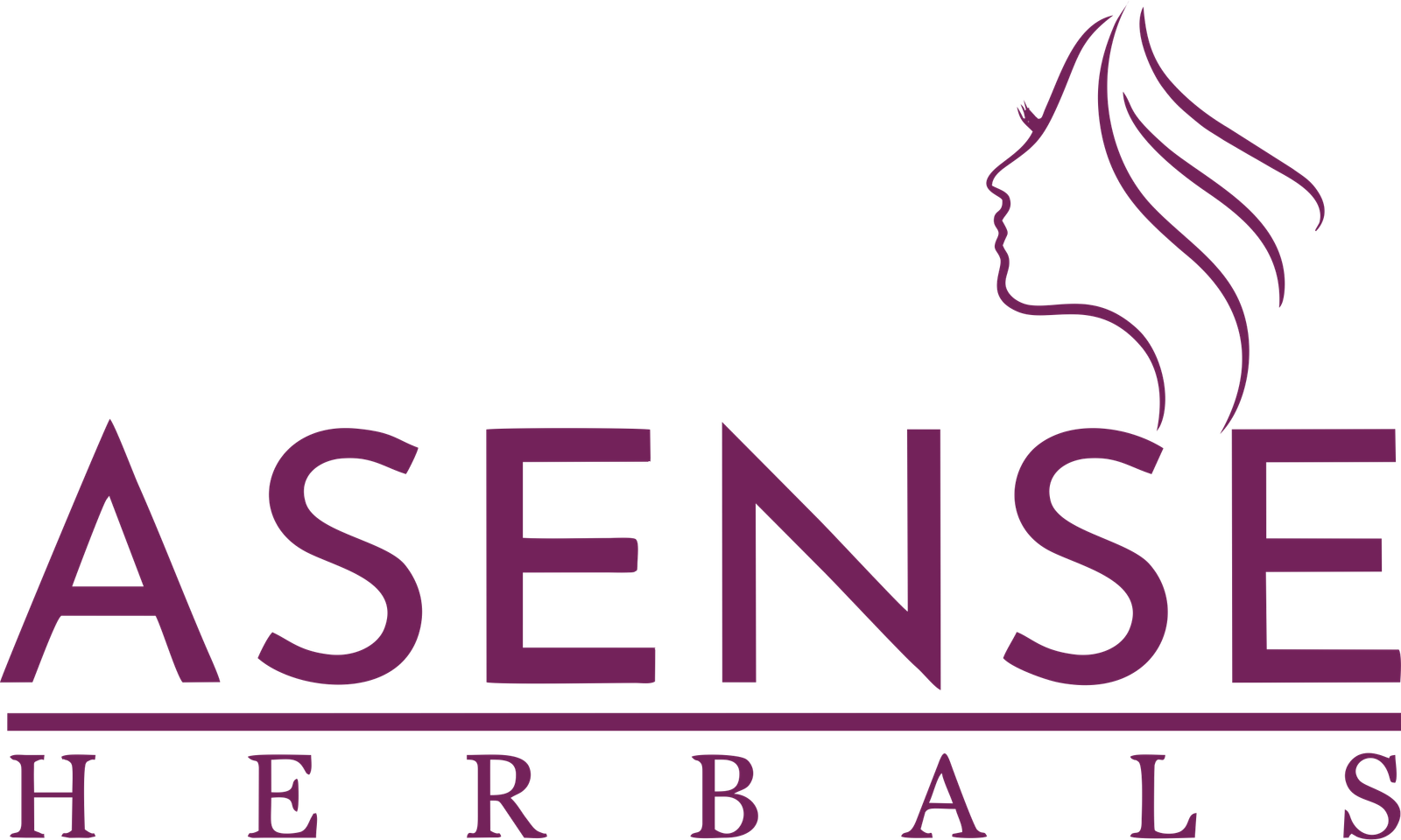 Assense Logo 4000 x 4000 1